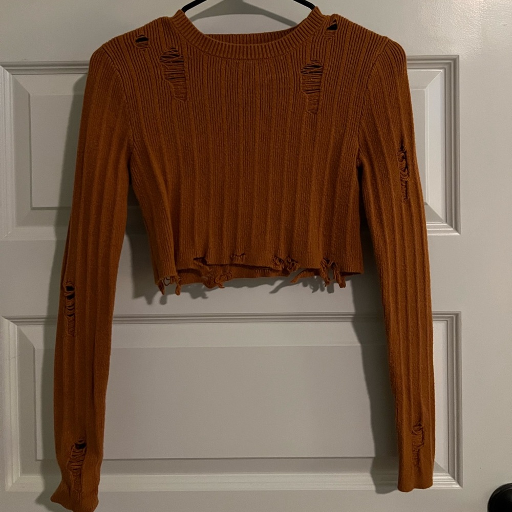 Burnt orange long sleeve crop